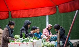 菜市场什么生意好